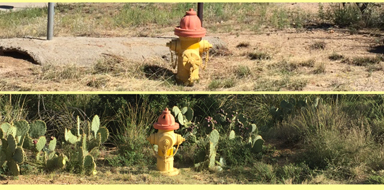 hydrantDuo